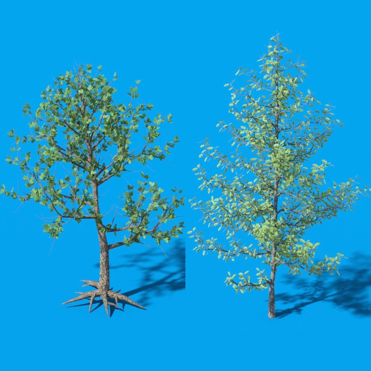 My Beautiful Forest My Beautiful Forest by: JeffersonAF, 3D Models by Daz 3D