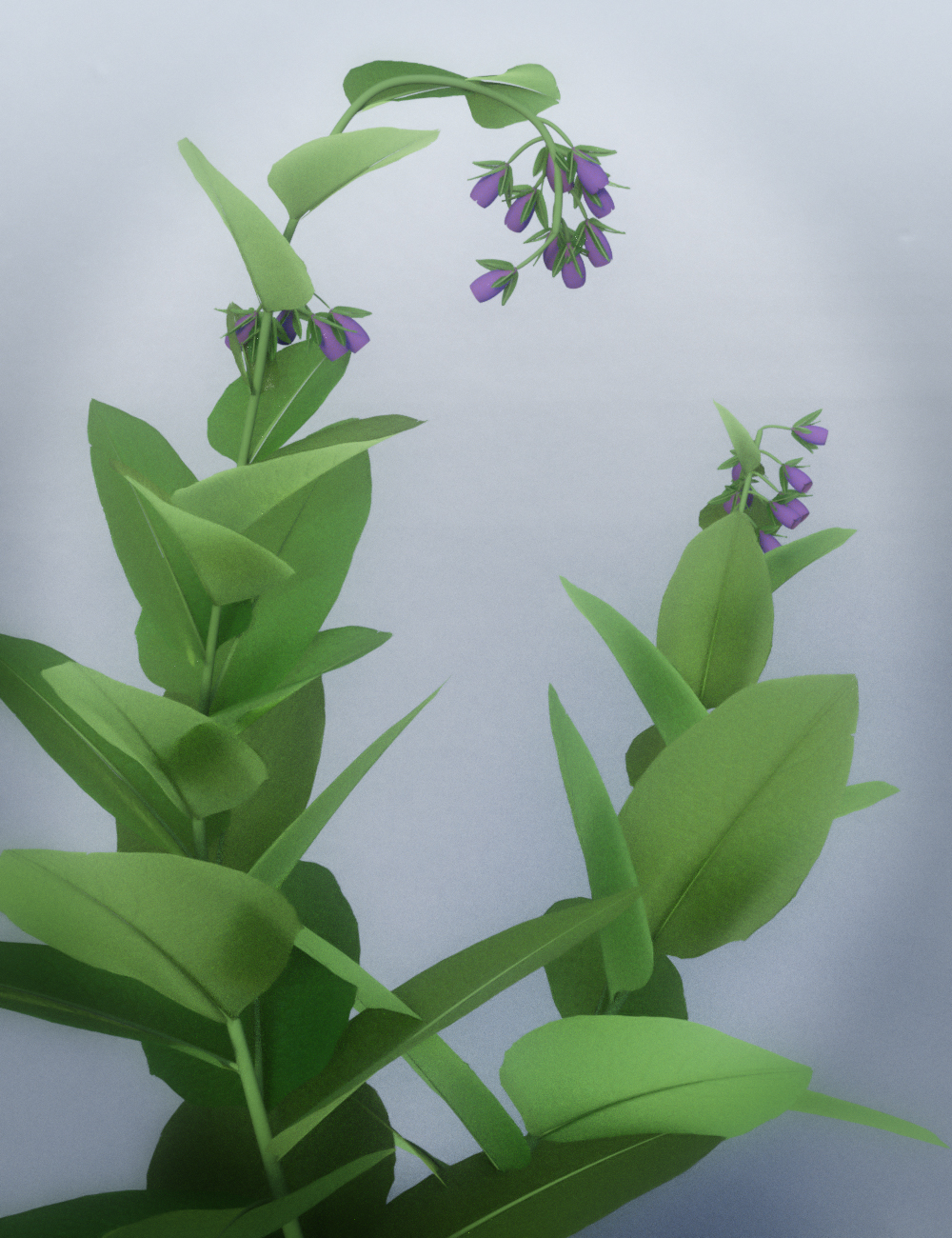 Wild Flower Plants vol 3 by: MartinJFrost, 3D Models by Daz 3D