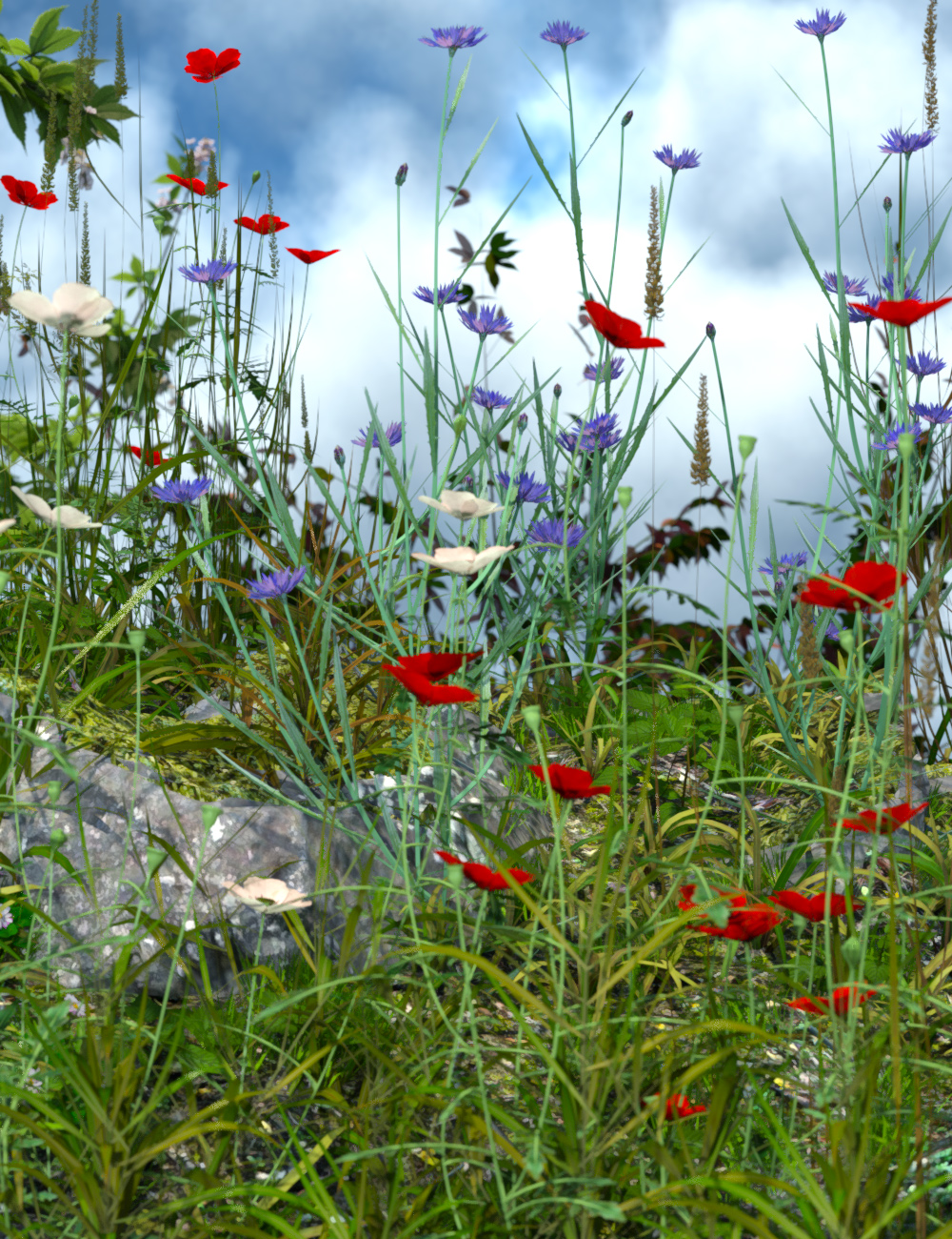 Wild Flower Plants vol 4 - Wheatfields Wild Flower Plants vol 4 - Wheatfields by: MartinJFrost, 3D Models by Daz 3D