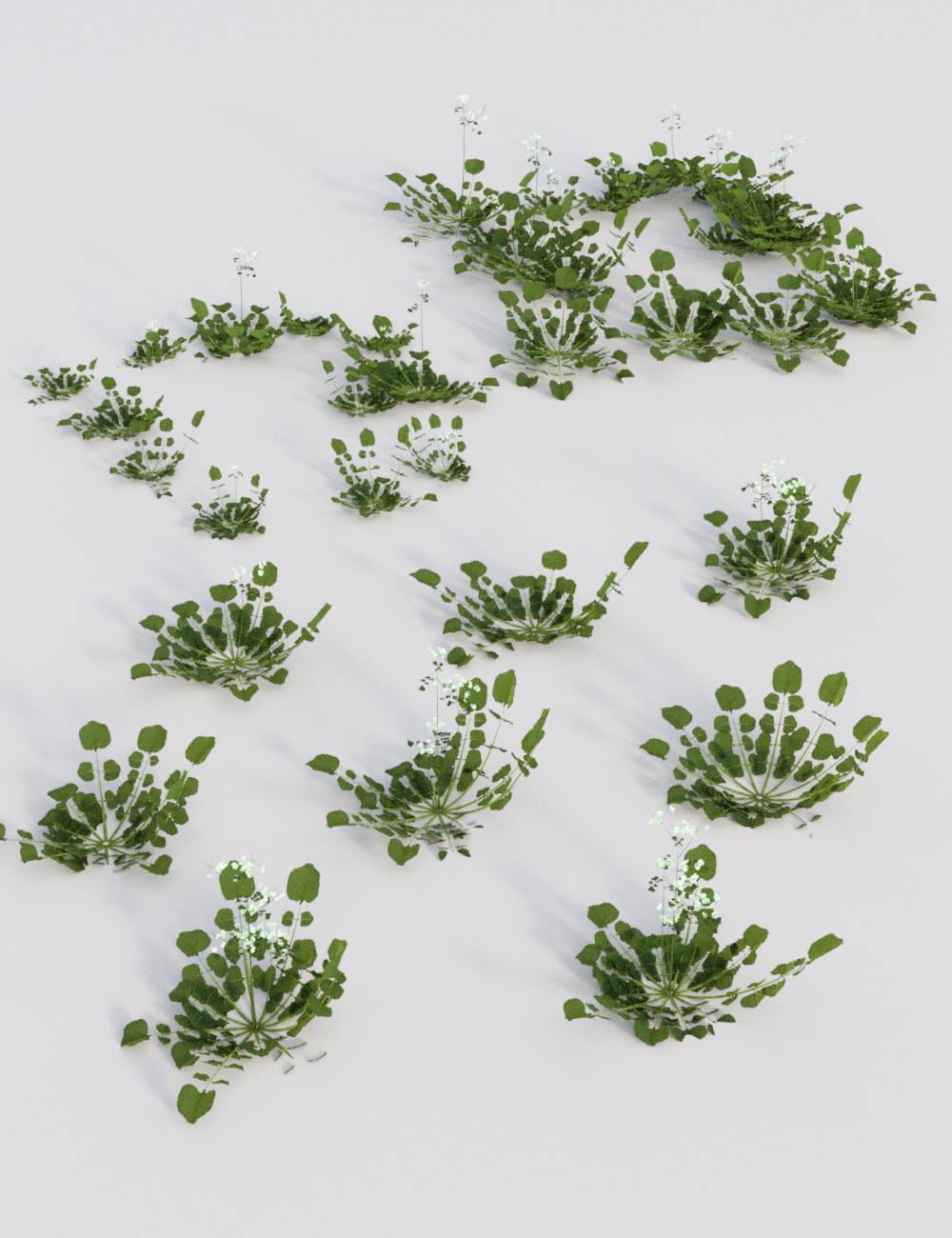 Teeny Tiny Plants by: MartinJFrost, 3D Models by Daz 3D