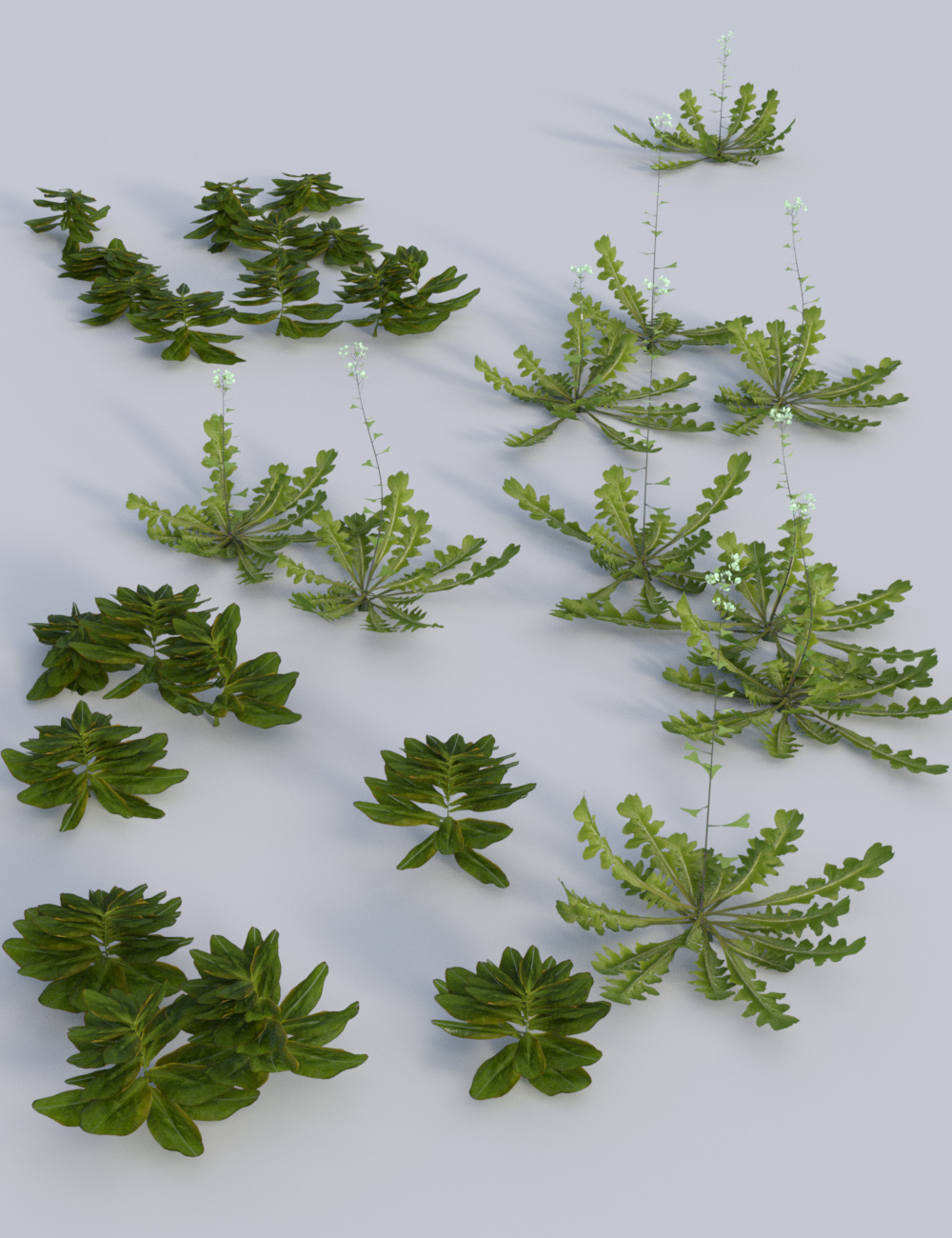 Teeny Tiny Plants by: MartinJFrost, 3D Models by Daz 3D
