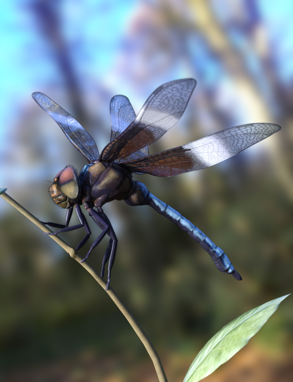 Meshworkz Dragonfly by: WillDupre, 3D Models by Daz 3D