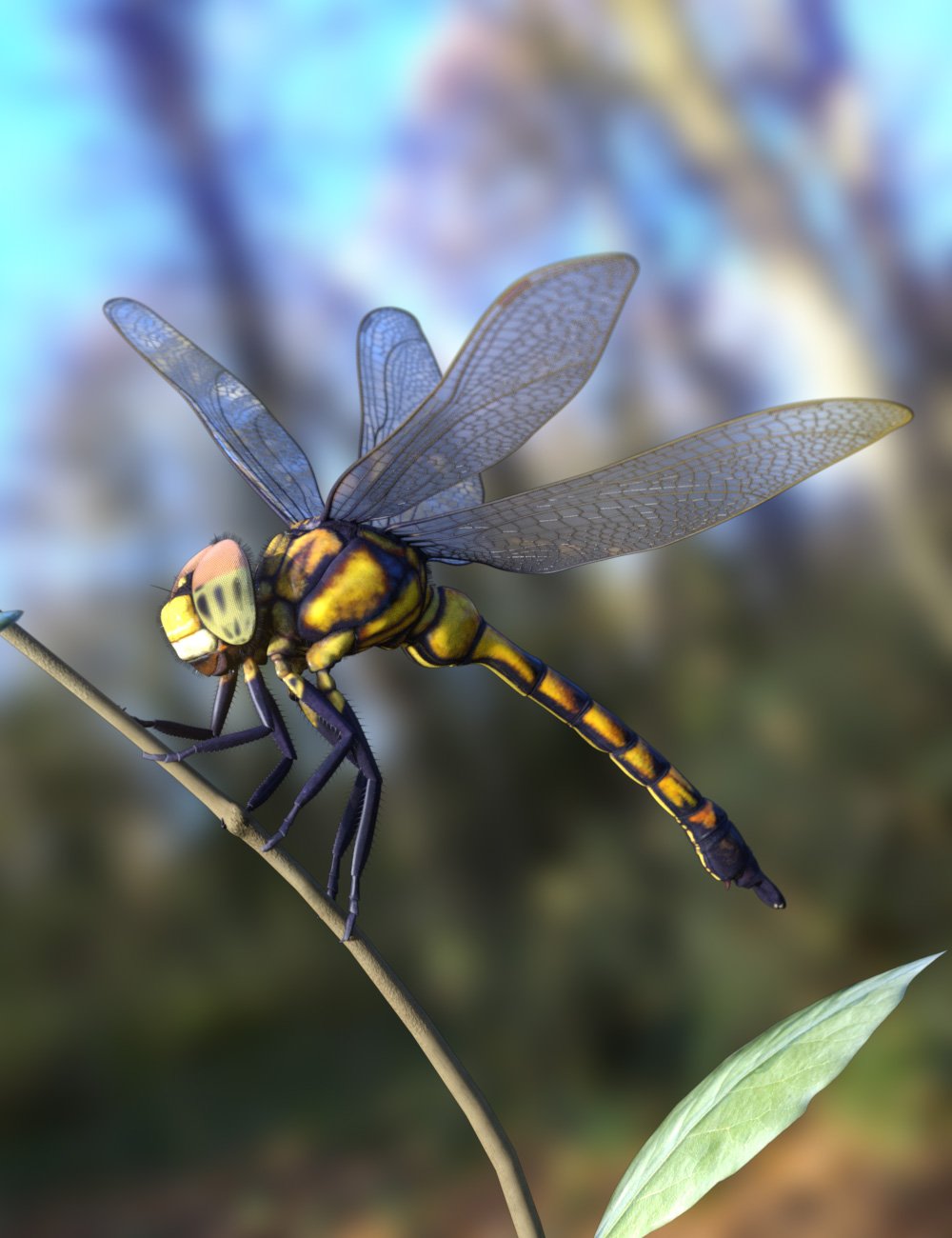 Meshworkz Dragonfly Meshworkz Dragonfly by: WillDupre, 3D Models by Daz 3D
