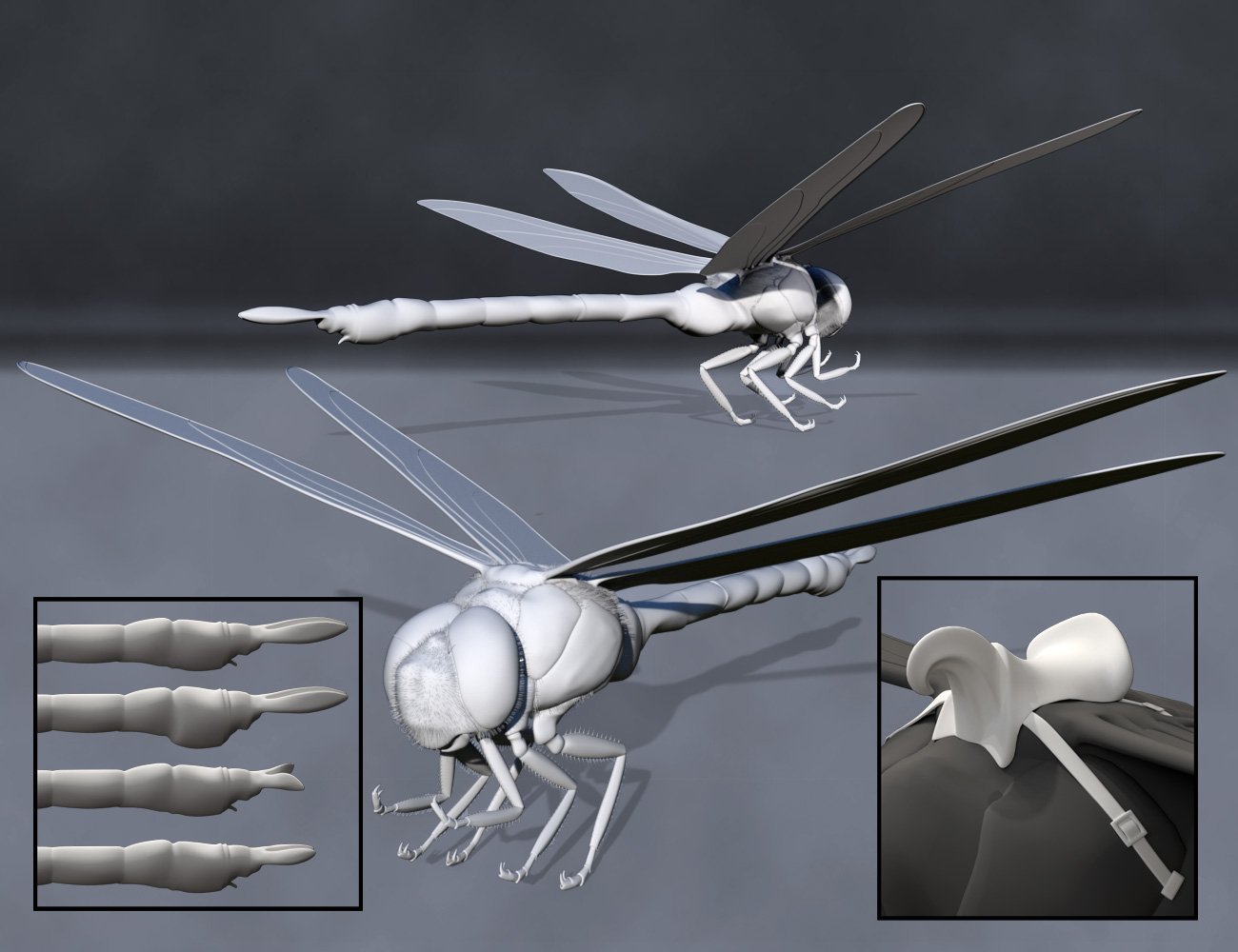 Meshworkz Dragonfly by: WillDupre, 3D Models by Daz 3D