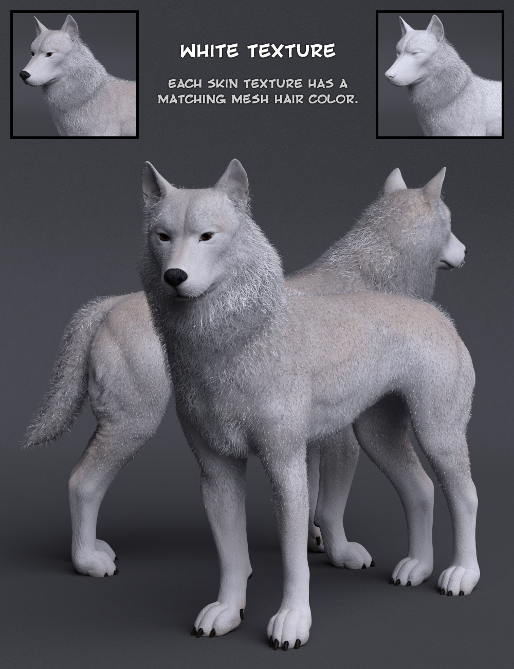Warg HD for Daz Dog 8 by: GhostofMacbeth, 3D Models by Daz 3D