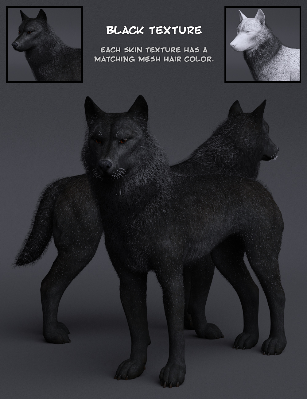 Warg HD for Daz Dog 8 by: GhostofMacbeth, 3D Models by Daz 3D
