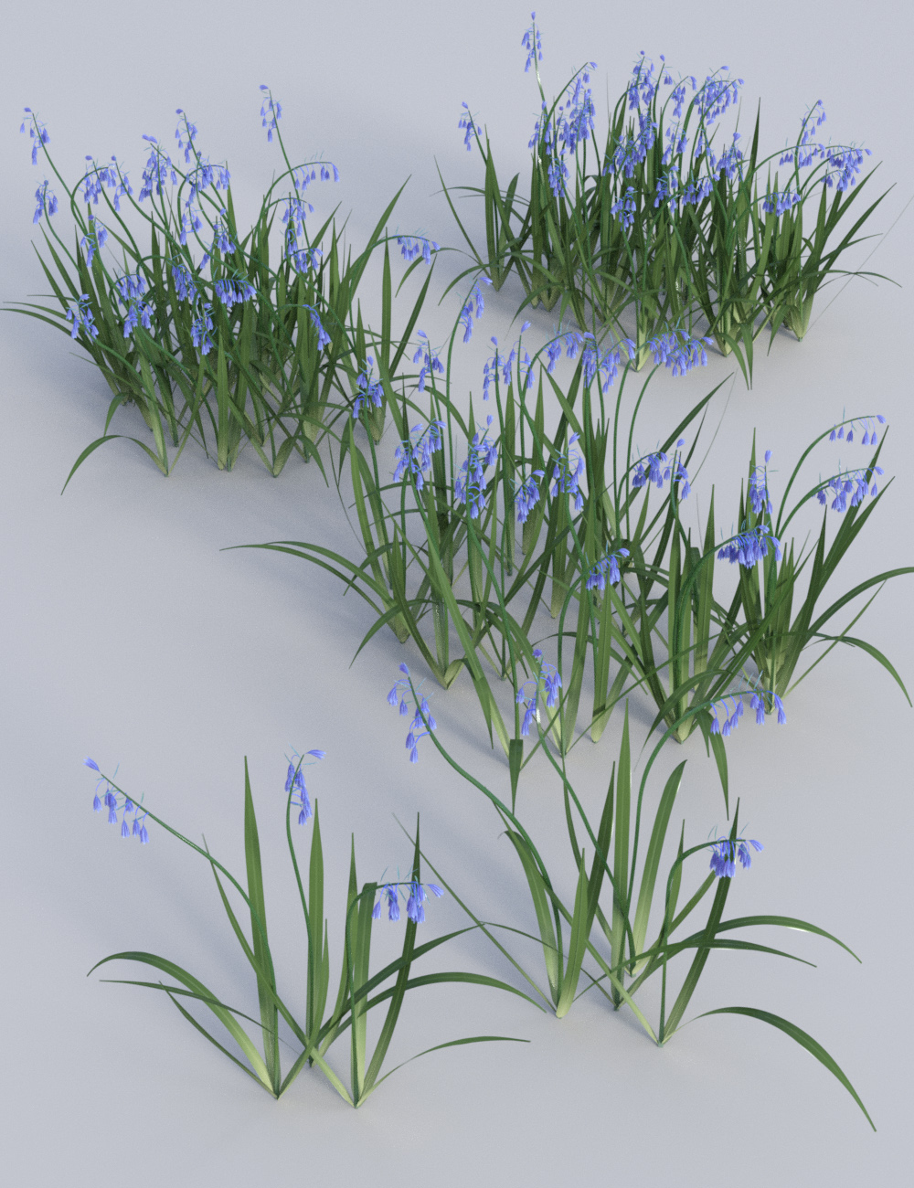 Wild Flowers Vol 5 - Woodland Plants by: MartinJFrost, 3D Models by Daz 3D
