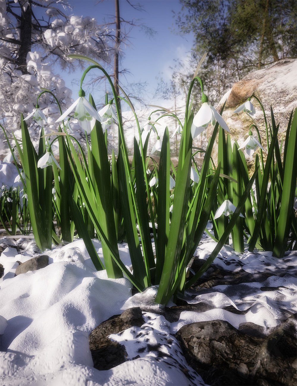 Wild Flowers Vol 6 - Spring Plants by: MartinJFrost, 3D Models by Daz 3D