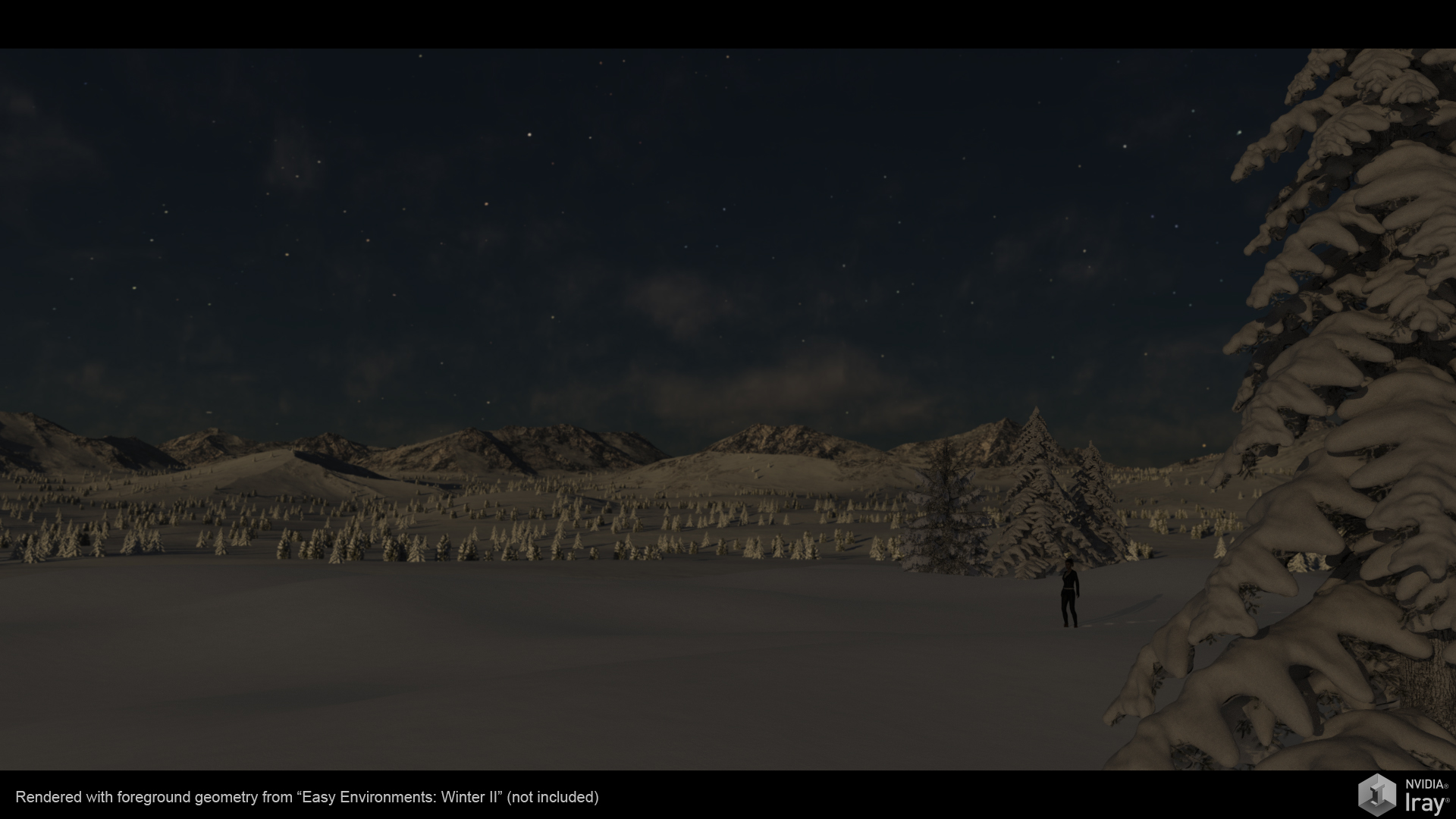 Easy Environments: Winter II Night & Dawn by: Flipmode, 3D Models by Daz 3D