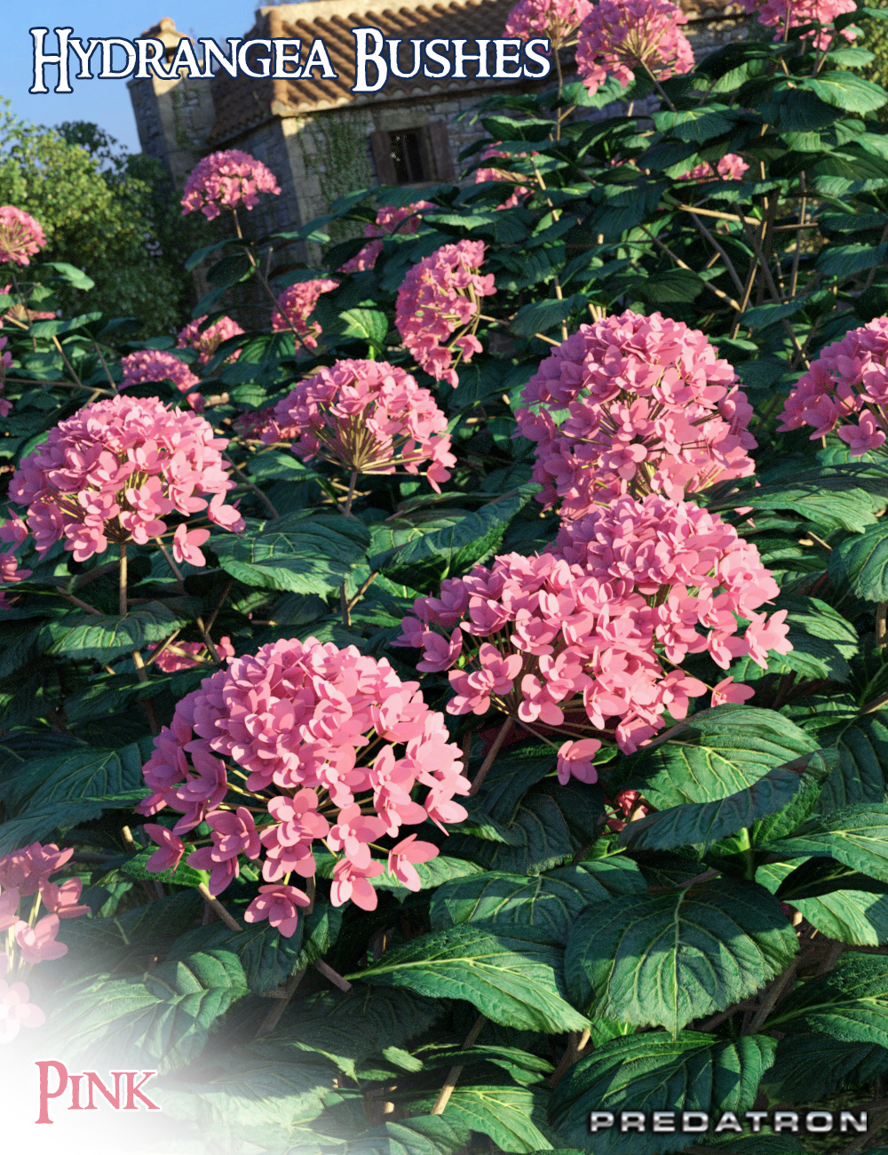 Predatron Predatron Hydrangea Bushes | Daz 3D