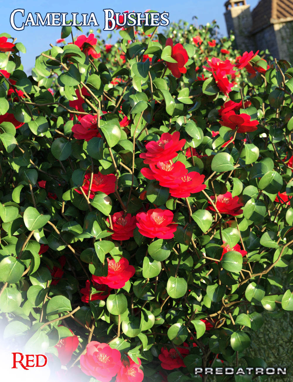 Predatron Camellia Bushes Predatron Camellia Bushes by: Predatron, 3D Models by Daz 3D