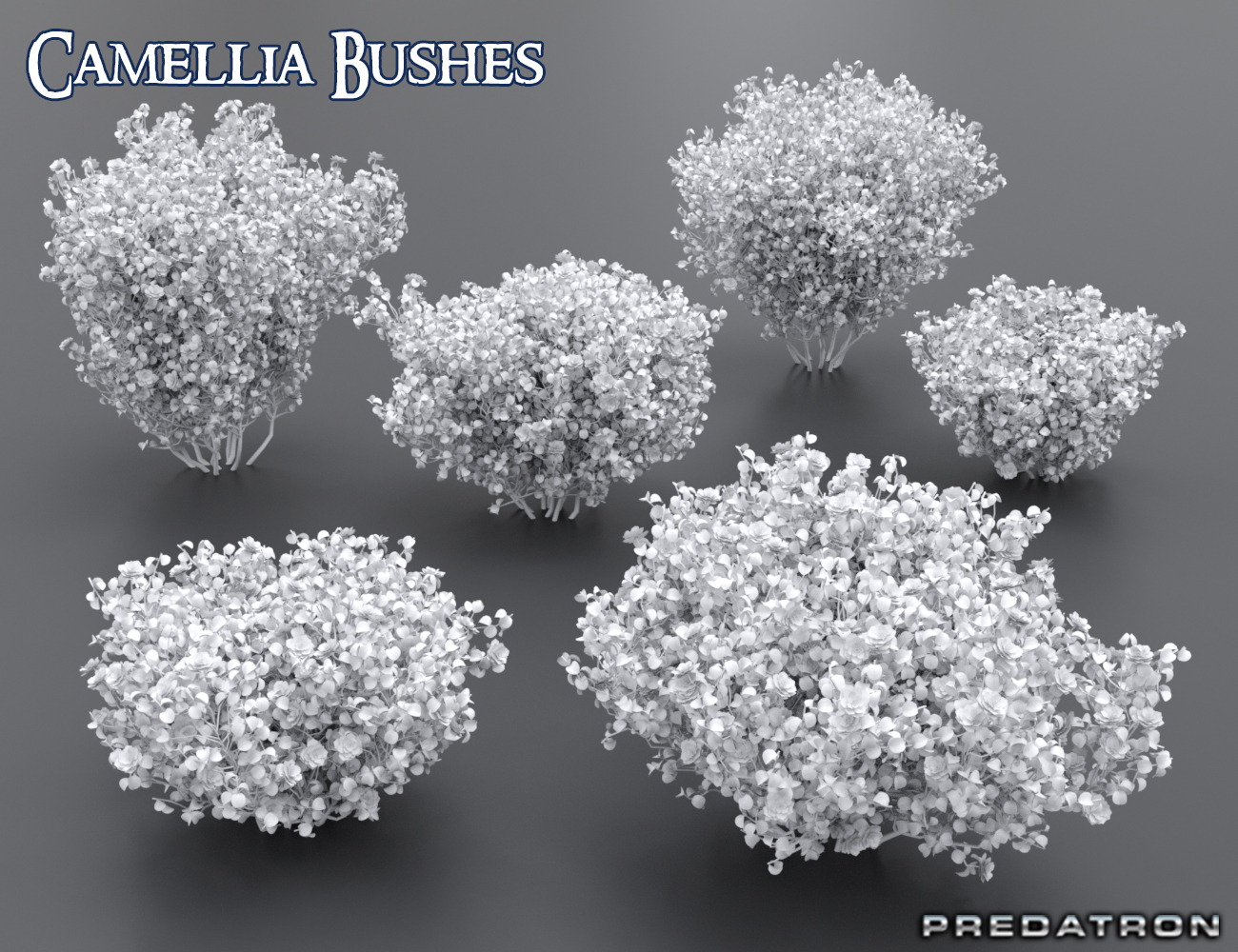 Predatron Camellia Bushes by: Predatron, 3D Models by Daz 3D