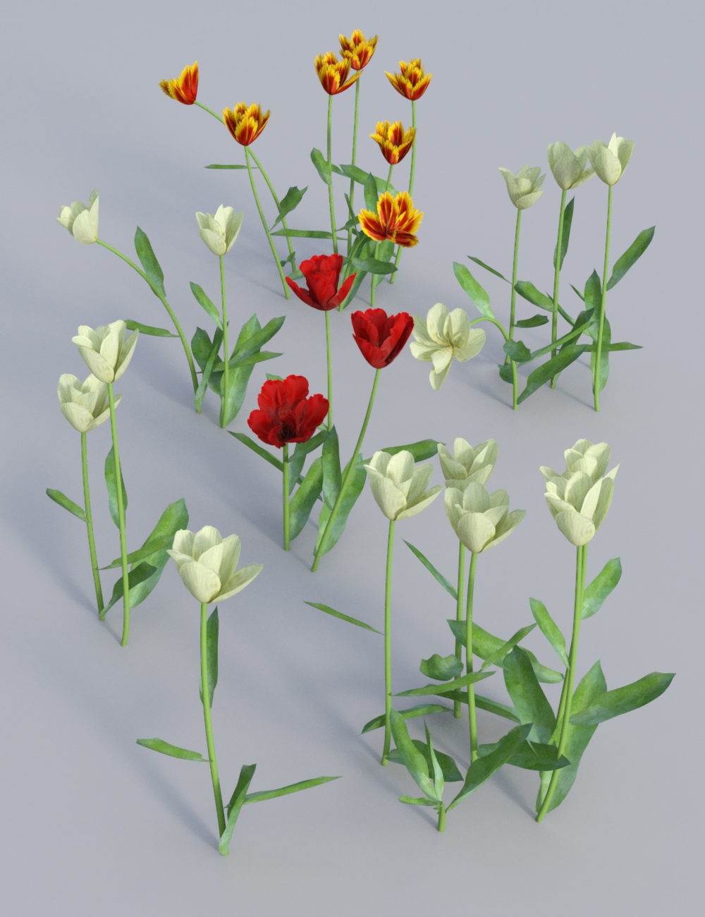 Garden Flowers Vol 2. Tulip Plants by: MartinJFrost, 3D Models by Daz 3D