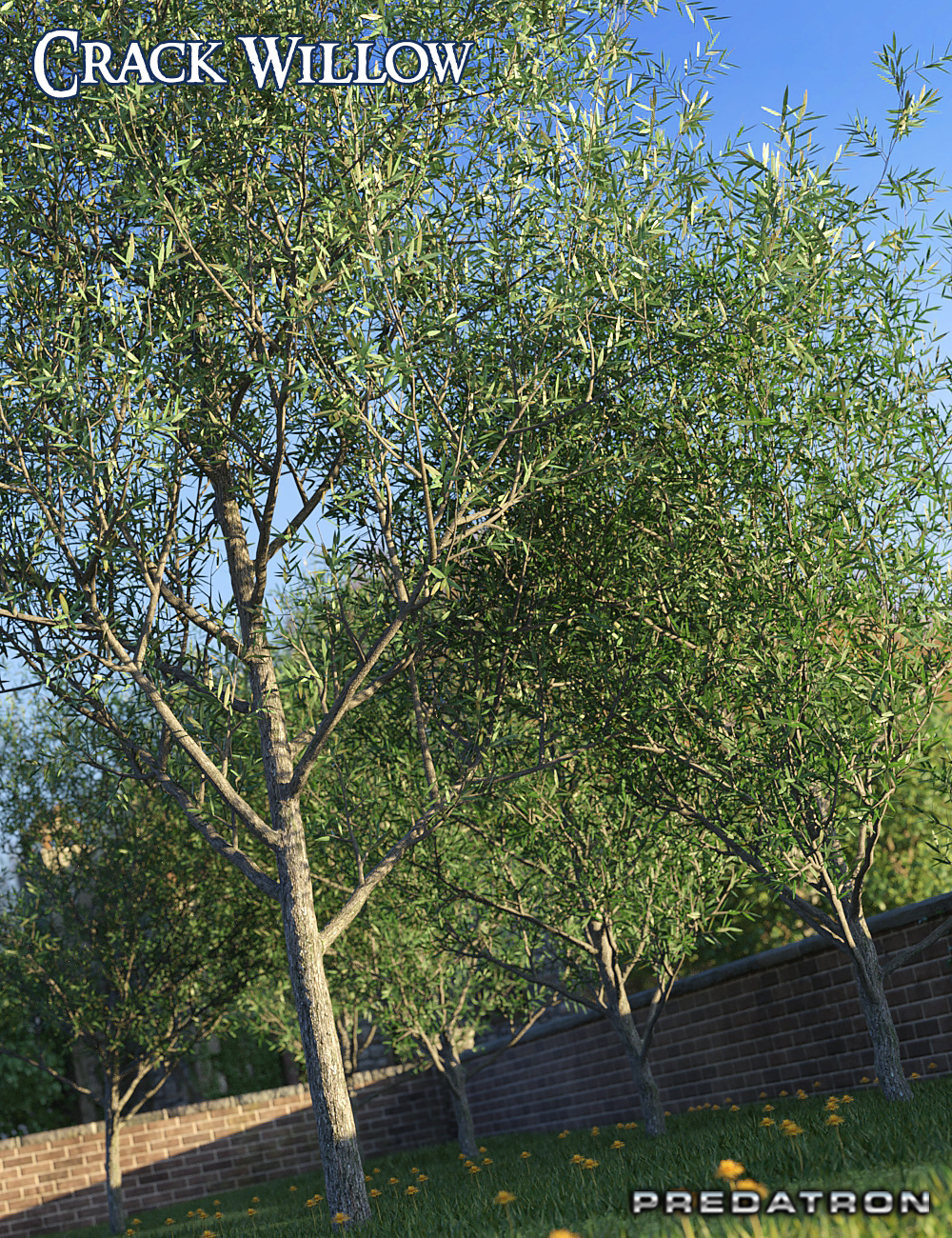 Predatron Crack Willow Trees by: Predatron, 3D Models by Daz 3D