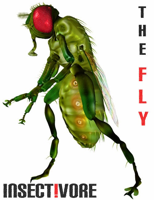 Insect-I-Vore 'The Fly' by: noggin, 3D Models by Daz 3D