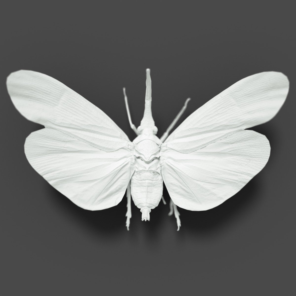 7 Cicada Collection Vol 1 7 Cicada Collection Vol 1 by: Polygonal Miniatures, 3D Models by Daz 3D