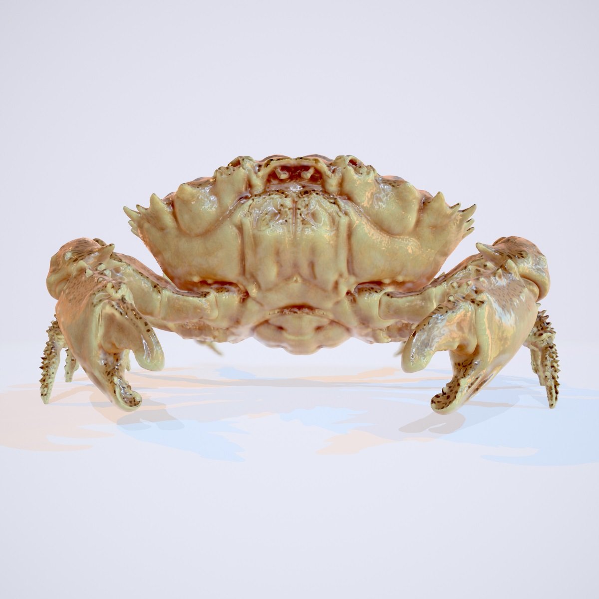 Crab by: Polygonal Miniatures, 3D Models by Daz 3D