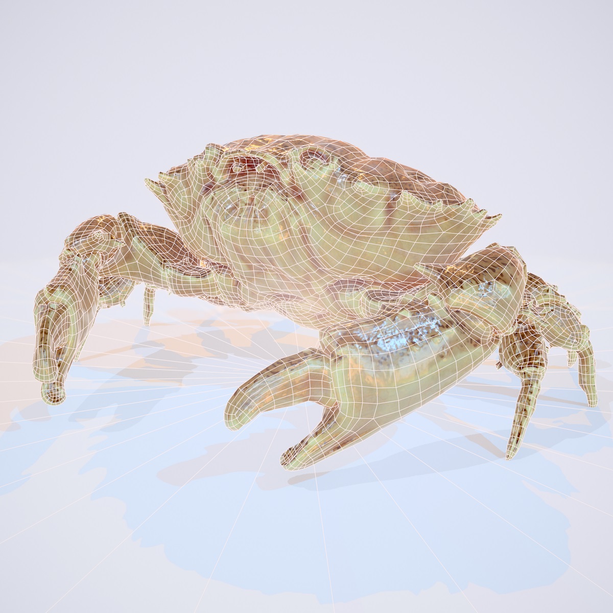 Crab by: Polygonal Miniatures, 3D Models by Daz 3D