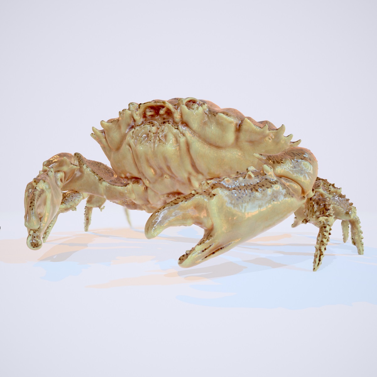 Crab Crab by: Polygonal Miniatures, 3D Models by Daz 3D