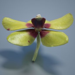 6 Orchids 6 Orchids by: Polygonal Miniatures, 3D Models by Daz 3D