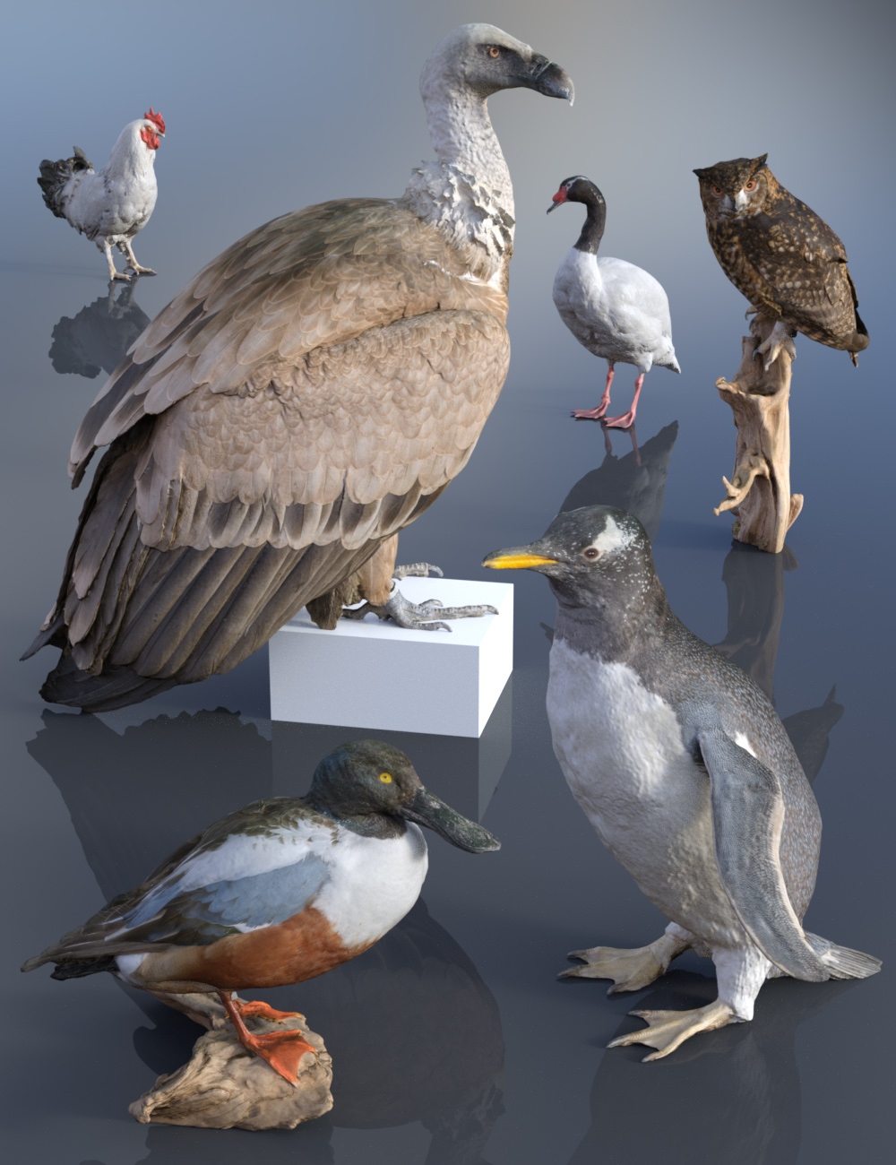 6 Bird Props by: Polygonal Miniatures, 3D Models by Daz 3D