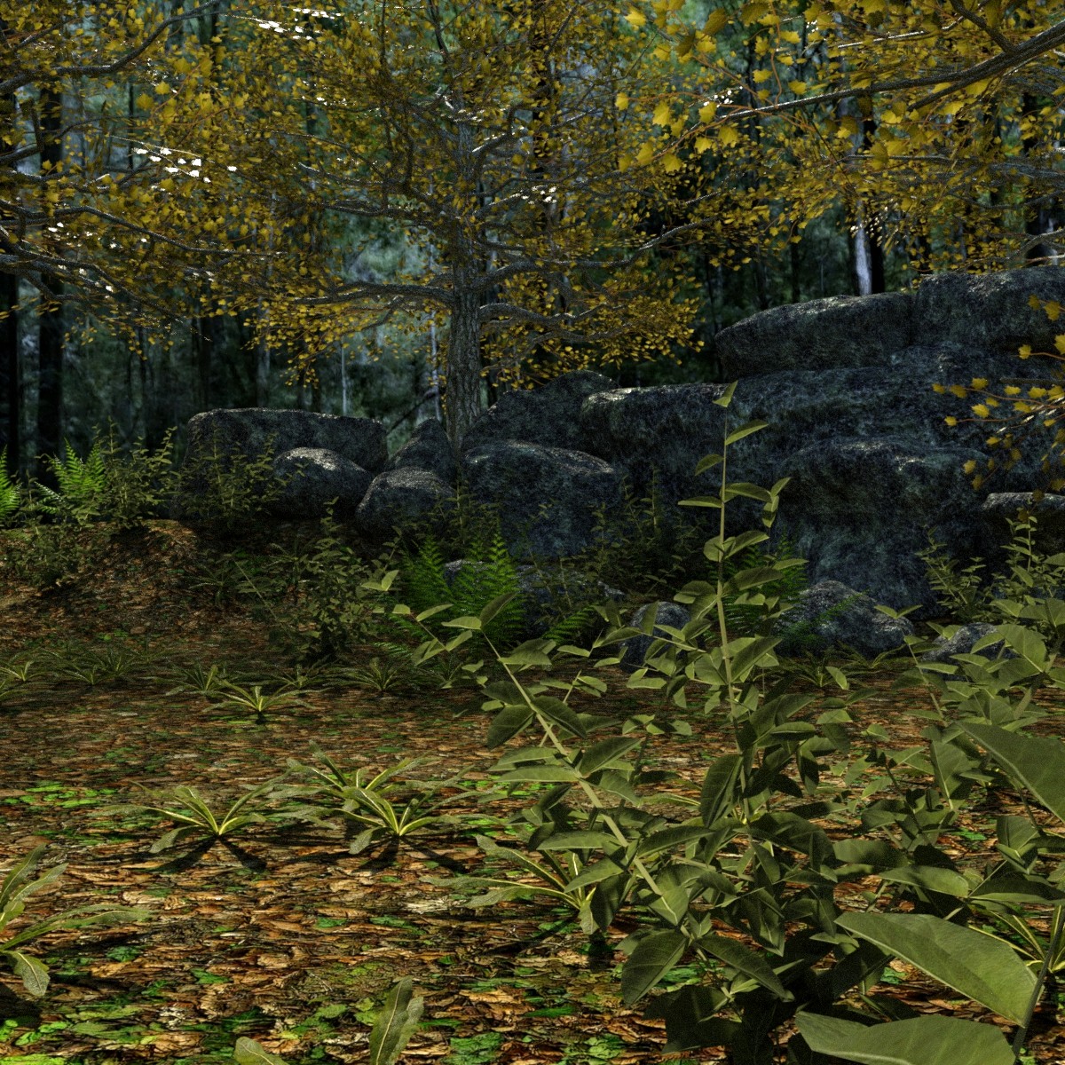 Between the Forest Between the Forest by: JeffersonAF, 3D Models by Daz 3D