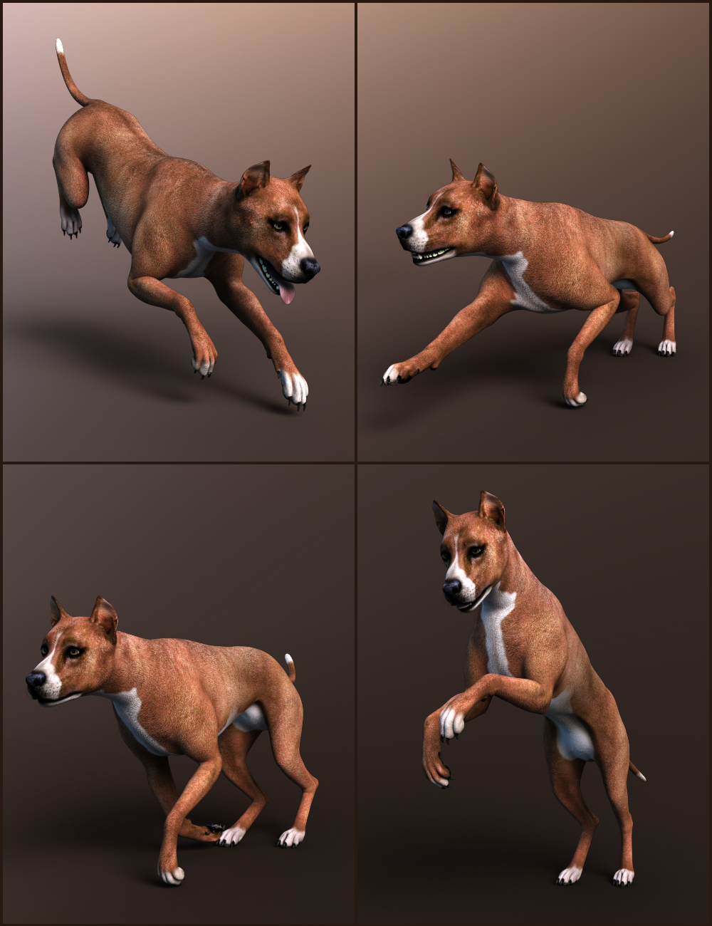 Everyday Pooch Poses for Daz Dog 8 by: Quixotry, 3D Models by Daz 3D