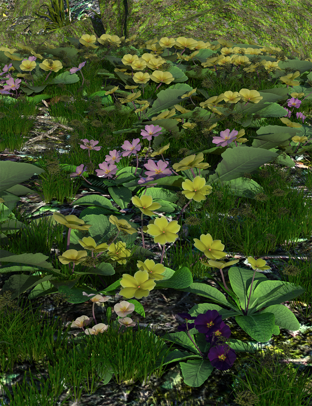 Wild Flowers Vol 8 - Wild Primrose by: MartinJFrost, 3D Models by Daz 3D