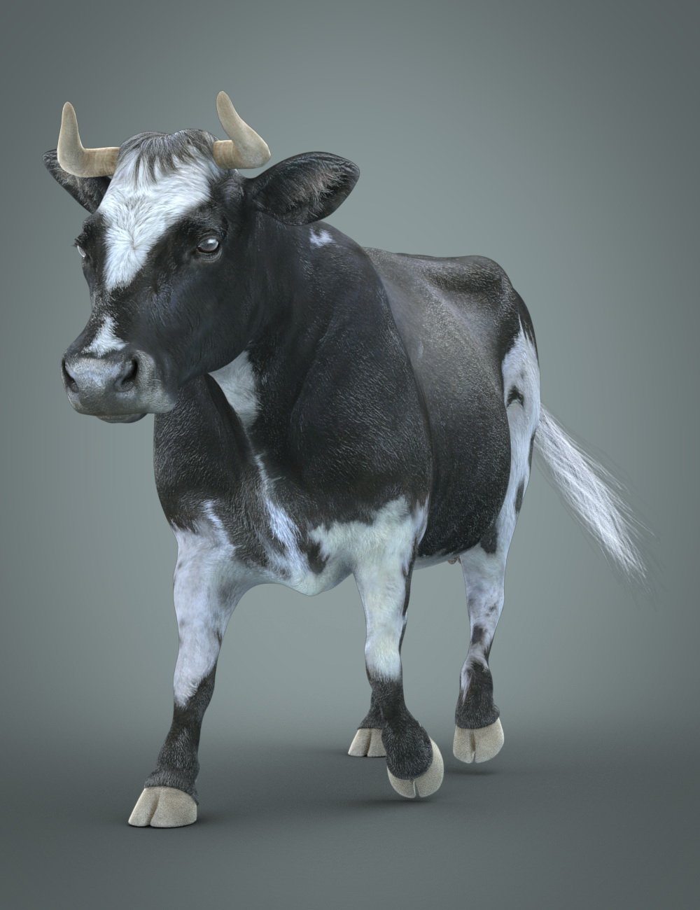 Marguerite The Cow HD for Daz Horse 2 by: Deepsea, 3D Models by Daz 3D