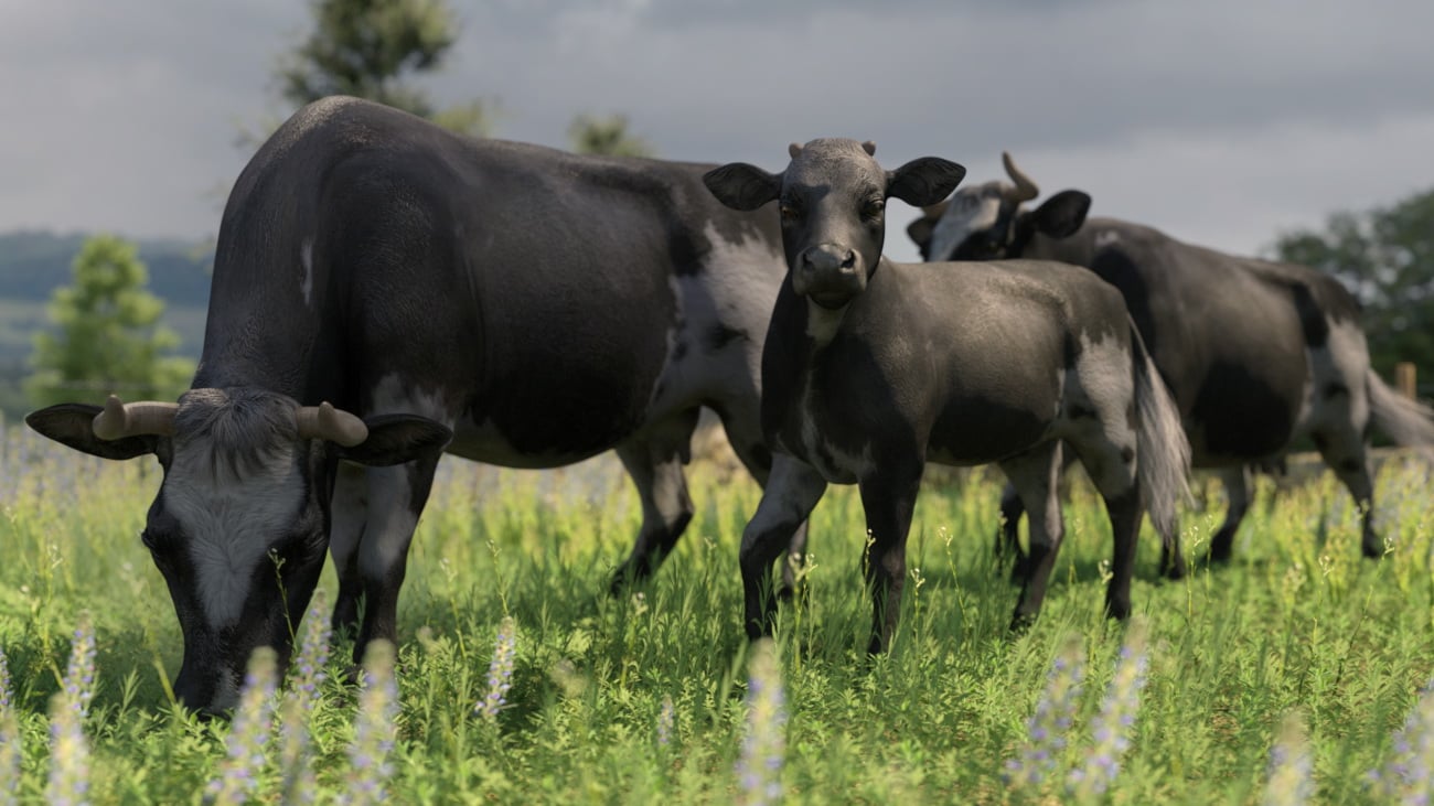 Denver The Calf HD for Daz Horse 2 Denver The Calf HD for Daz Horse 2 by: Deepsea, 3D Models by Daz 3D