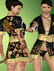 The Imperial Collection for Kunoichi The Imperial Collection for Kunoichi by: Morris, 3D Models by Daz 3D