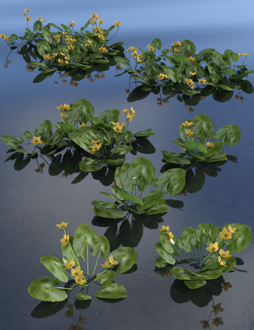 Wild Flowers - Water Plants vol 1 Wild Flowers - Water Plants vol 1 by: MartinJFrost, 3D Models by Daz 3D