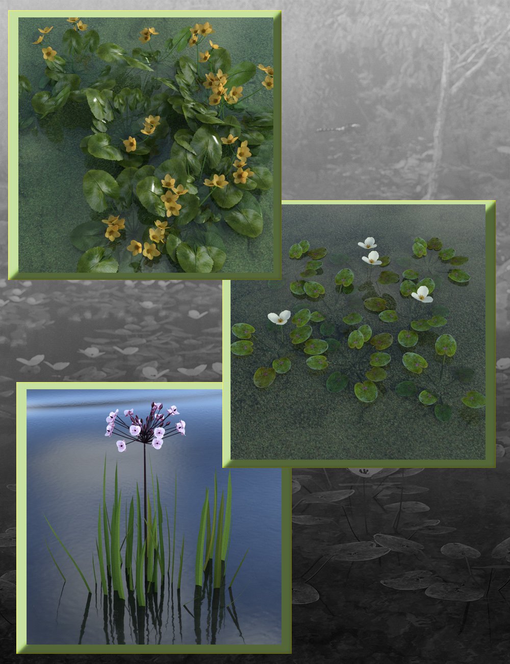 Wild Flowers - Water Plants vol 1 by: MartinJFrost, 3D Models by Daz 3D