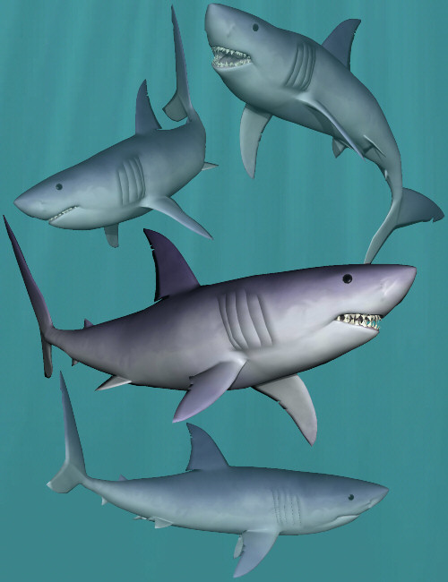 Shark Poses by: Digiport, 3D Models by Daz 3D