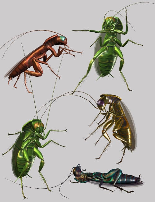 Insect-I-Vore The Roach Insect-I-Vore The Roach by: noggin, 3D Models by Daz 3D