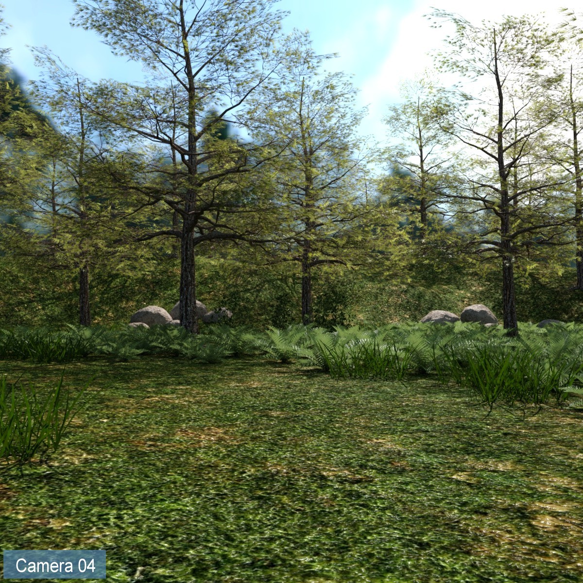 The Great Forest by: JeffersonAF, 3D Models by Daz 3D