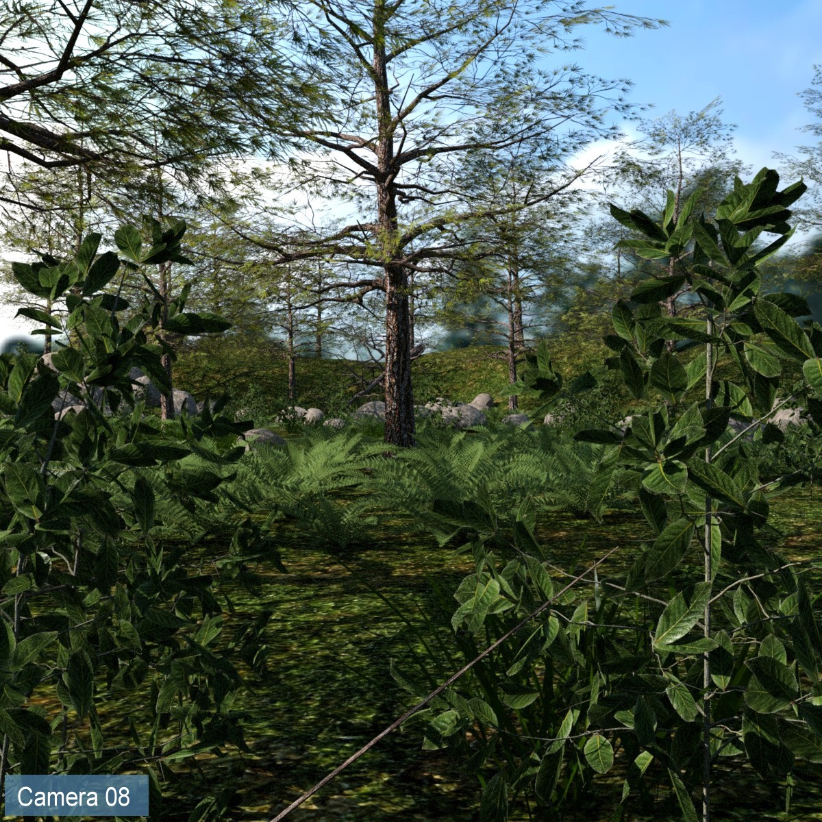 The Great Forest The Great Forest by: JeffersonAF, 3D Models by Daz 3D