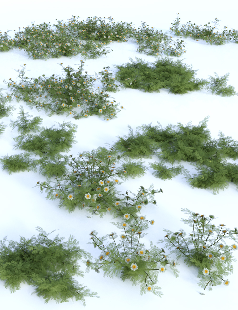 Garden Flowers Vol 1 - Herbs by: MartinJFrost, 3D Models by Daz 3D