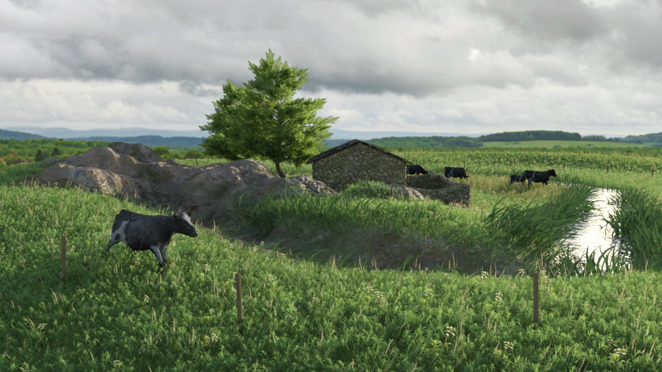 Modular Field Environment Modular Field Environment by: Deepsea, 3D Models by Daz 3D