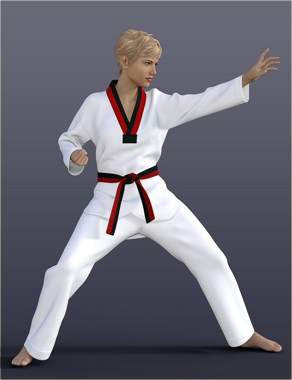 dForce H&C Taekwondo Suit for Genesis 8 Female(s) by: IH Kang, 3D Models by Daz 3D