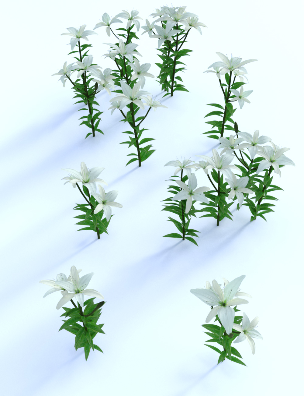 Garden Flowers - Asiatic Lilies by: MartinJFrost, 3D Models by Daz 3D