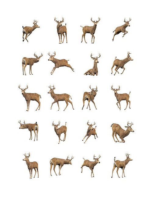 Elusive Buck Poses by: Digiport, 3D Models by Daz 3D