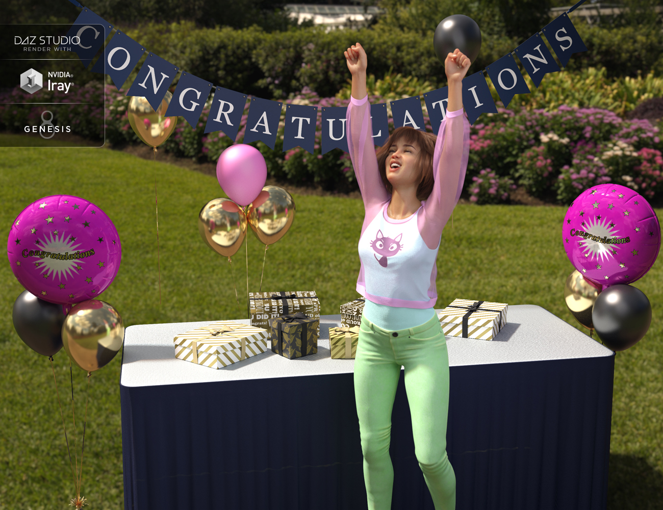 Party Decoration Elements Party Decoration Elements by: Rascal3D, 3D Models by Daz 3D