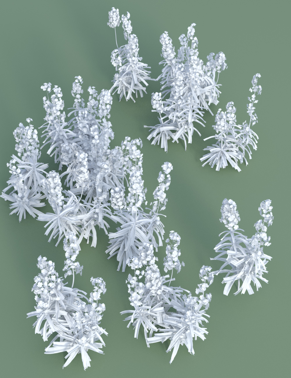 Garden Flowers - Wall Flowers by: MartinJFrost, 3D Models by Daz 3D