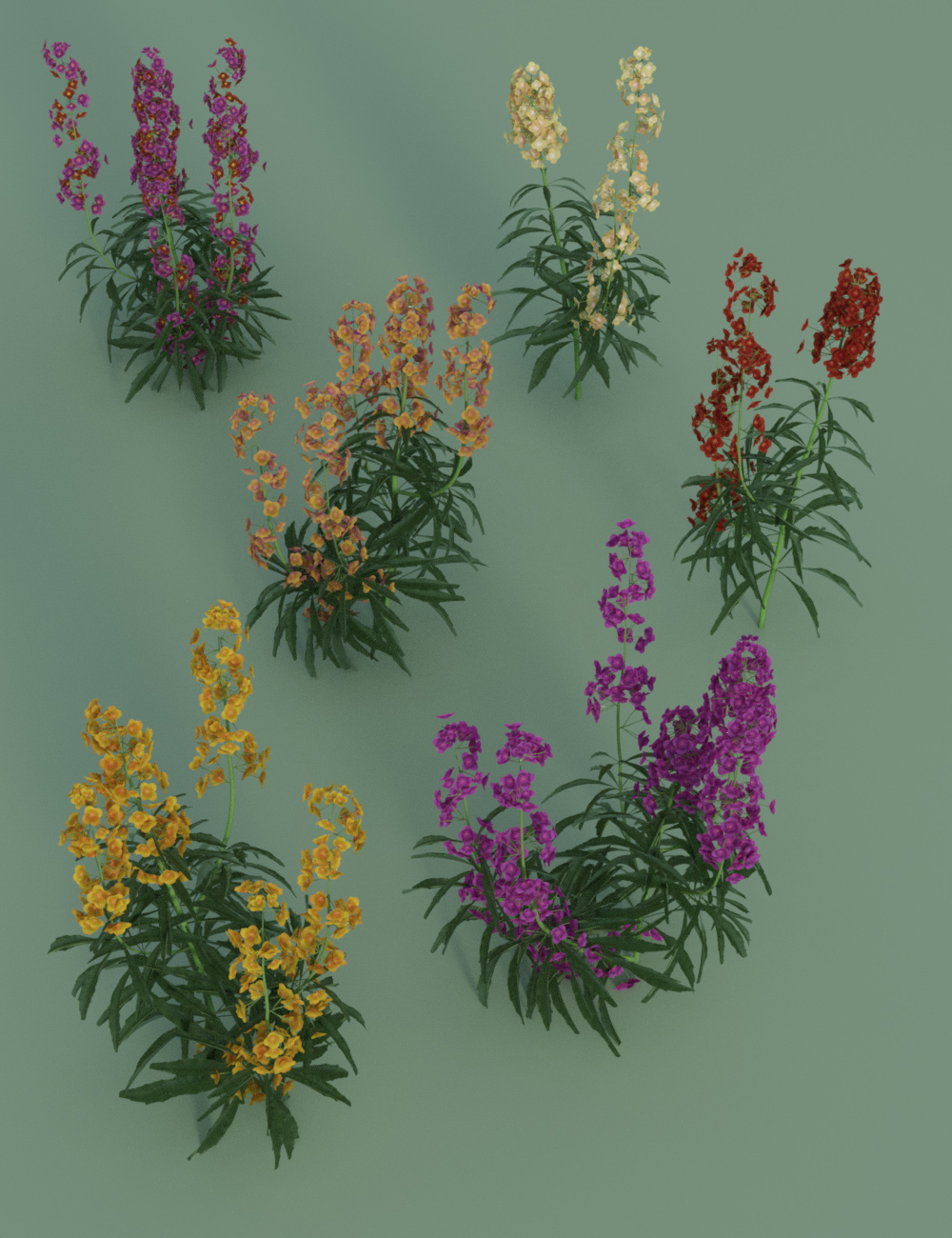 Garden Flowers - Wall Flowers by: MartinJFrost, 3D Models by Daz 3D