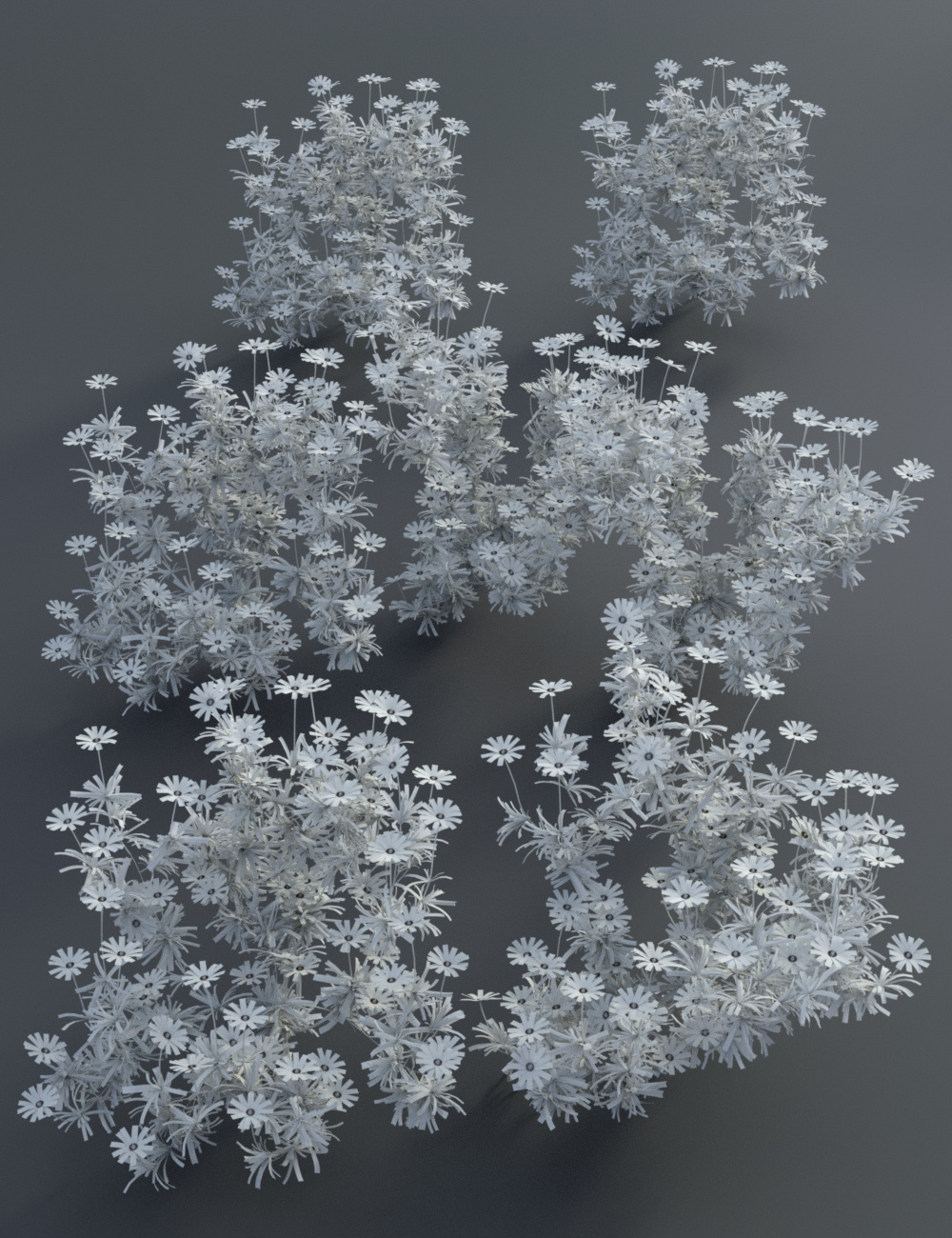 Garden Flowers - Garden Daisies by: MartinJFrost, 3D Models by Daz 3D