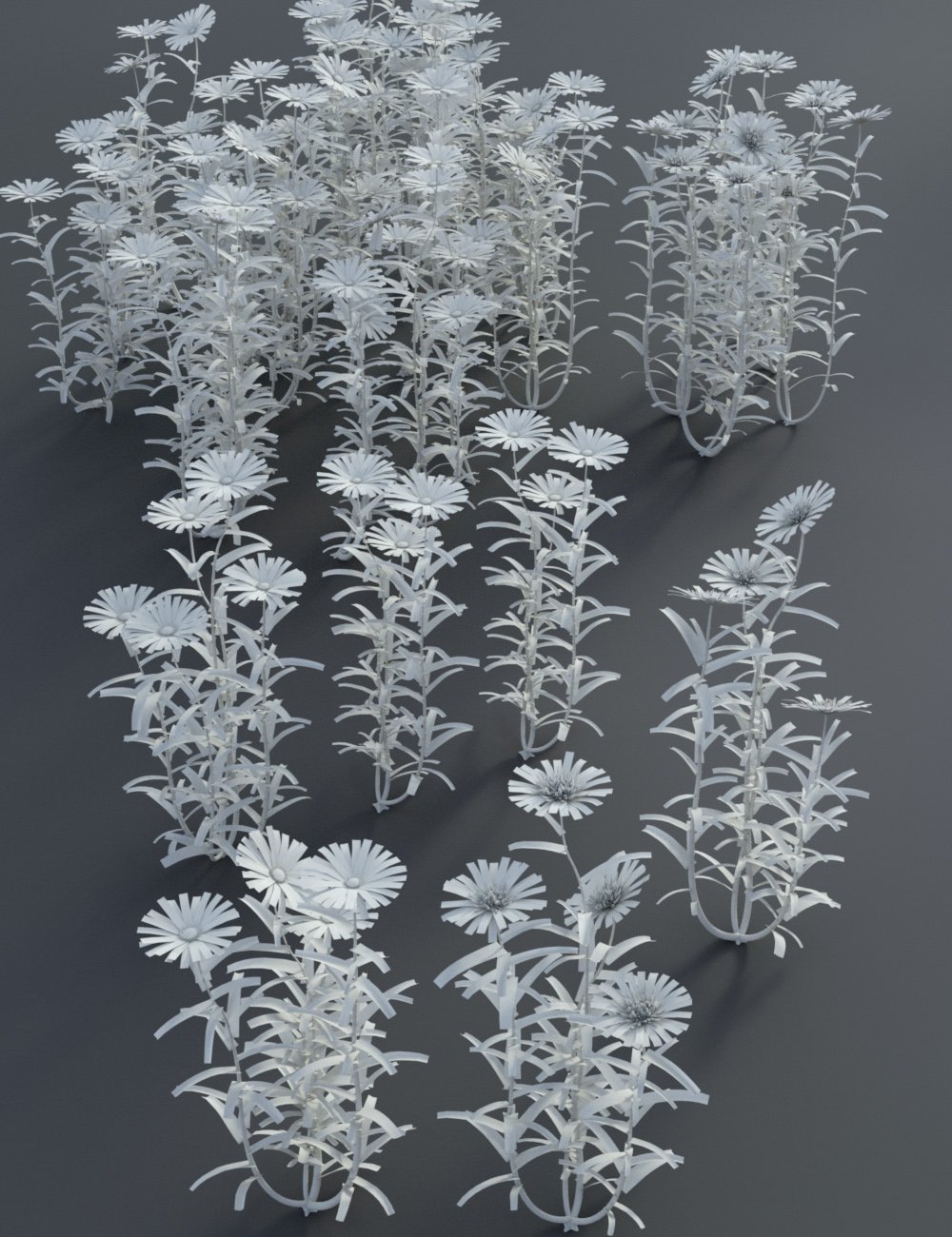 Garden Flowers - Garden Daisies Garden Flowers - Garden Daisies by: MartinJFrost, 3D Models by Daz 3D