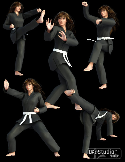 V4 Martial Arts Poses Daz 3d 