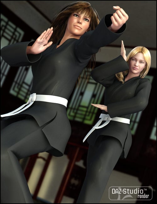 V4 Martial Arts Poses by: Digiport, 3D Models by Daz 3D