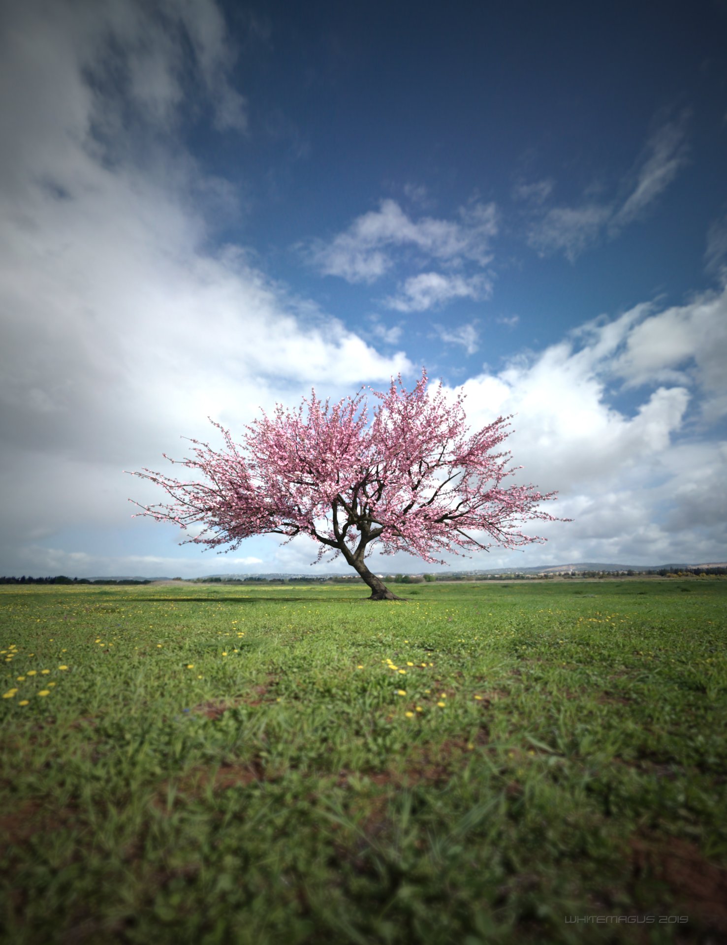 HDRI Green Fields I HDRI Green Fields I by: Whitemagus, 3D Models by Daz 3D